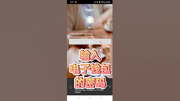 DBS PayLah Scan QR Code To Pay 