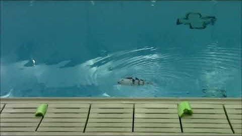 iDevice-controlled robotic fish