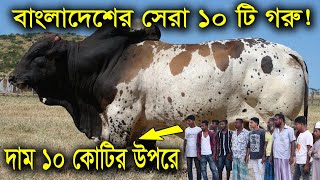 বাংলাদেশের সবচেয়ে বড় ১০টি গরু | হাট কাঁপানো সেরা ১০টি গরু | Top 10 bigest Cow in Bangladesh screenshot 5