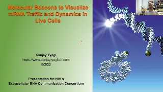 ERCC Webinar: Sanjay Tyagi - Molecular beacons to visualize mRNA traffic and dynamics in live cells