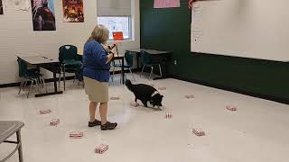 Famous PSD Nov Containers Metallic Q 2nd Place Wealth