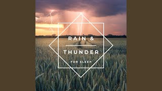 Rain & Thunder for Sleep, Pt. 59