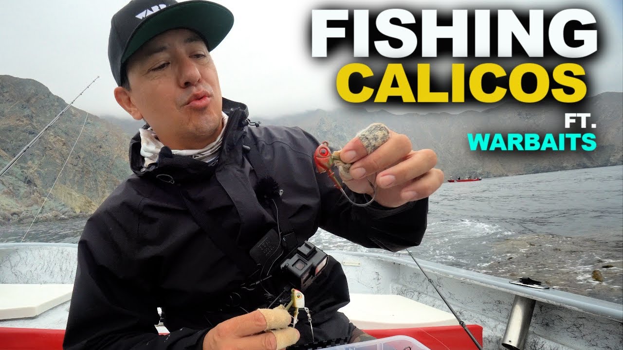 Fishing for Calico Bass (INSANE BITE)