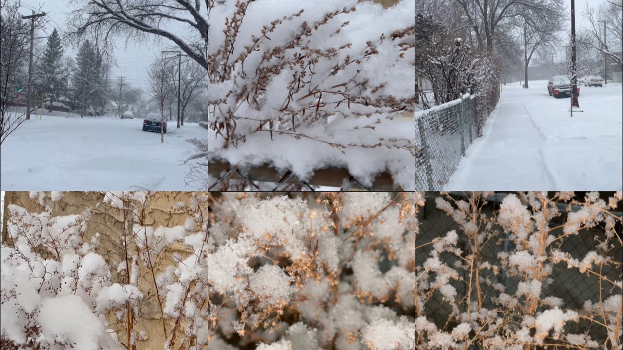 Winter storm in Minnesota big snowing day - YouTube