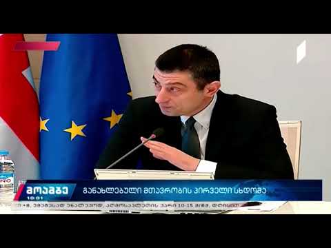 გიორგი გახარია ნდობის გამოცხადების შემდეგ მთვრობის პირველ სხდომას მართავს