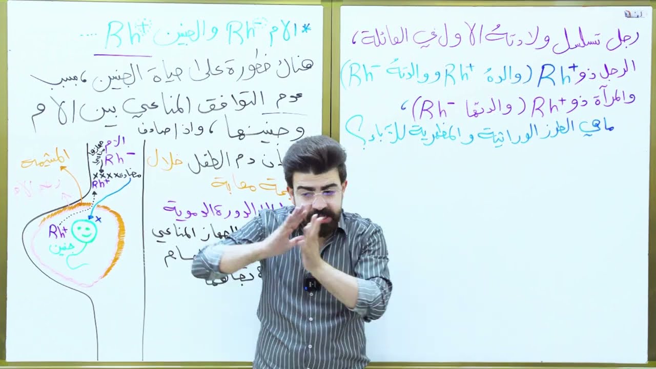 الفصل الخامس | الوراثة | المحاضرة الخامسة عشر (اليلات متعددة - تكملة مستضدات العامل الريسي Rh)