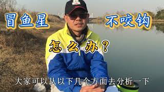 光冒鱼星，不咬钩是啥原因? #原来钓鱼才是抖音运动顶流 #钓鱼
