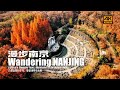 [4K] Wandering Nanjing: Temple of Gratitude, Glazed Pagoda, Qinhuai River, Sun Yat-sen Mausoleum