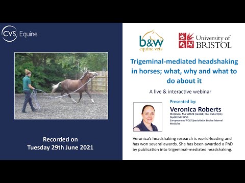 Video: Kas yra galvos drebėjimo sindromas arkliams?