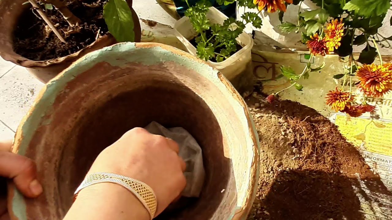How to make potting soil for plants (पौधो के लिए मिट्टी तैयार करना)🌹🥀🌺🌻 ...