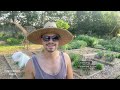 Tennessee Vegetable Garden Tour & Summer Crop Planting Tips | Twitch Live Stream from Redleaf Ranch