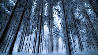 【木管八重奏】【楽譜】氷瀑の森