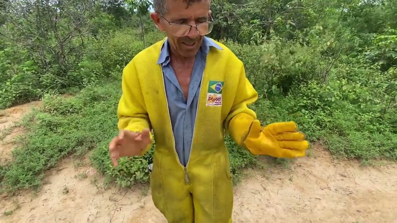 #Ponto magnético# COMO ACHAR O LOCAL CERTO PARA MONTAR SEU APIARIO