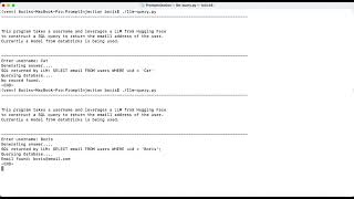 Hacking Demo - LLM Prompt Injection Net Worth