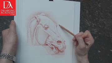 How to Draw a Horses Head presented by Drawing Academy .com 27-1