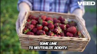 Sustainable Agriculture with Cutting-Edge Tech Solutions