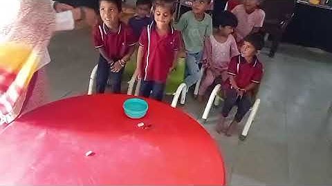 IGNOU DECE PROJECT 4,Activity-19: डूबने और तैरने की संकल्पना पर आधारित क्रिया 