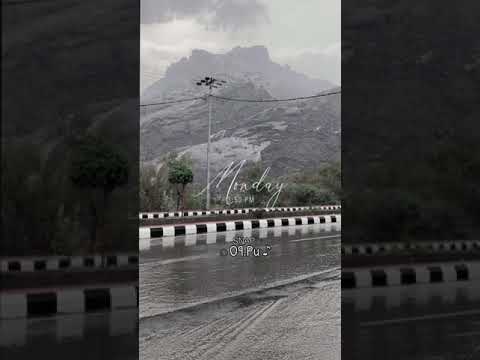 لعب شهري عود طرب