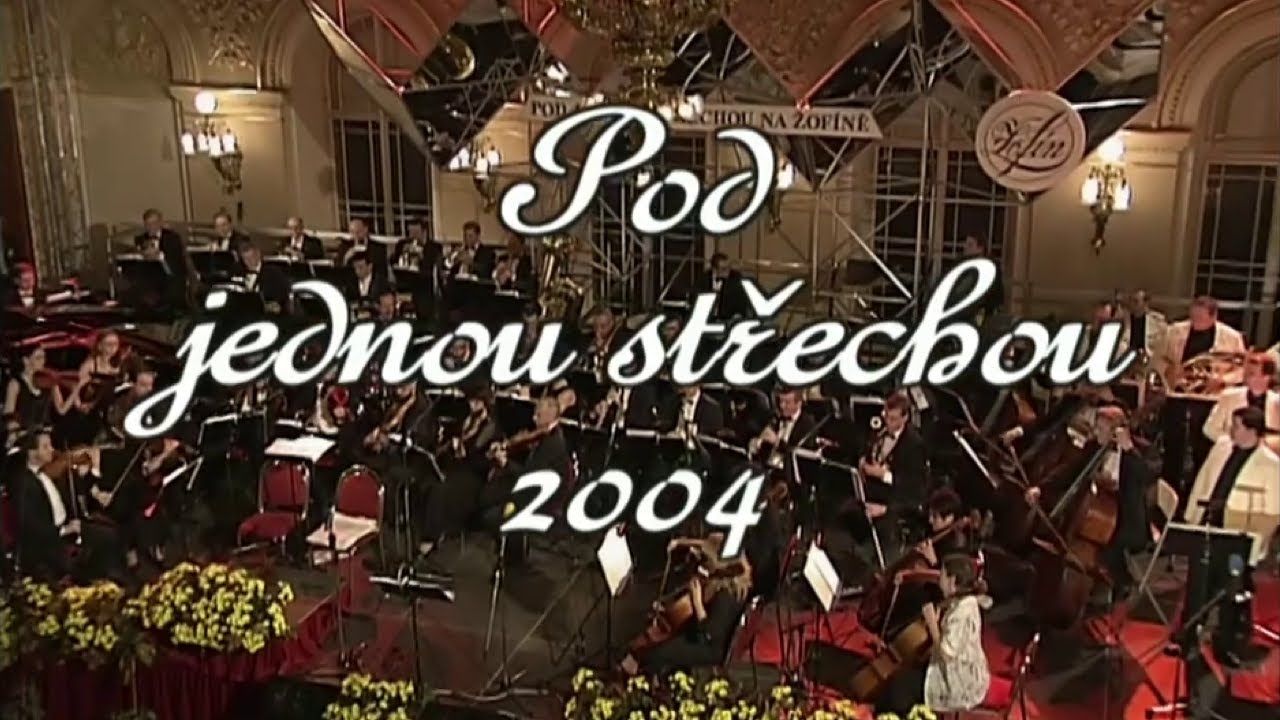 Pod jednou střechou 2004 ❖ Koncert 2004