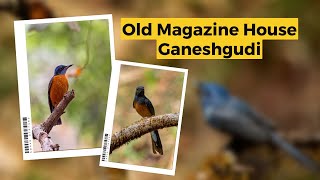 A Complete Guide to Old Magazine House, Dandeli - Accommodation, Dining, and Birding Experiences