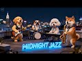 Velvet Smooth Jazz Soul Café Vibes | for Study Sessions