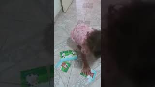 Montando Quebra Cabeça