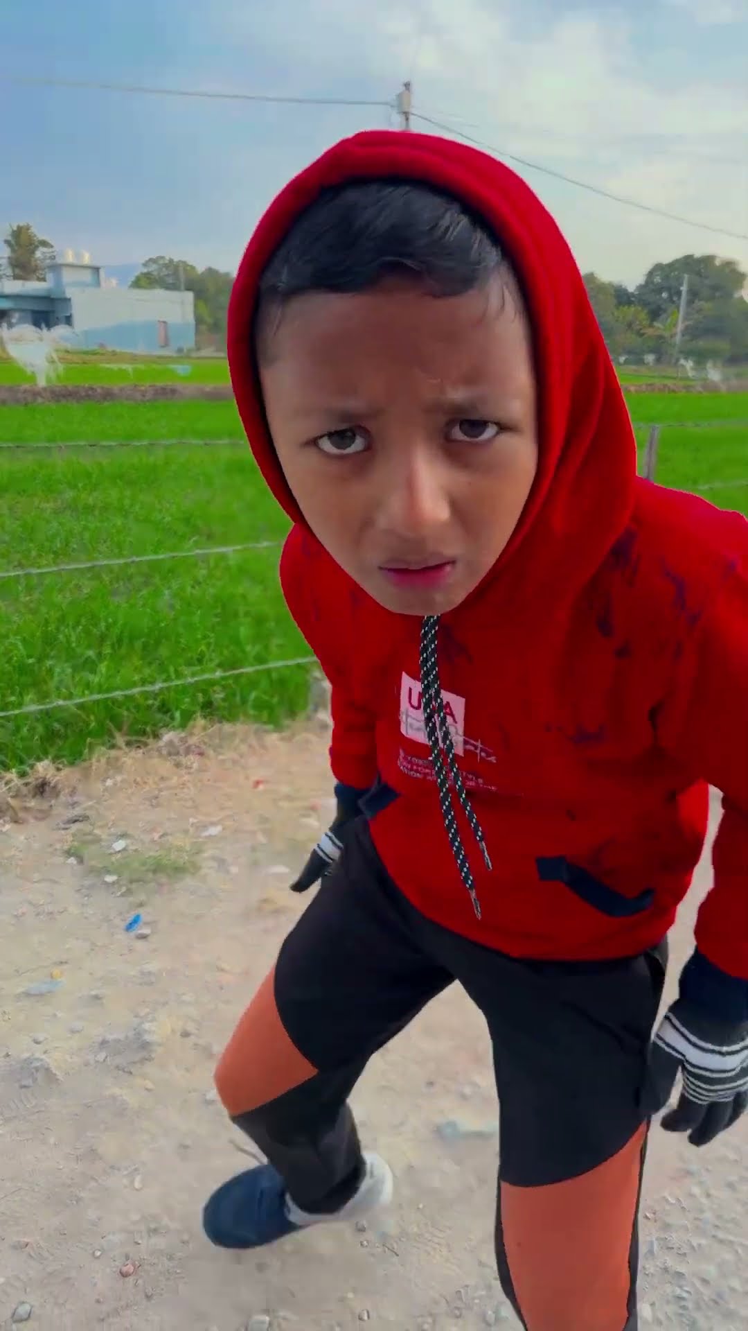 Uda kabootar furr furr ?❤️ #shorts #song #funny #trending #viralvideo