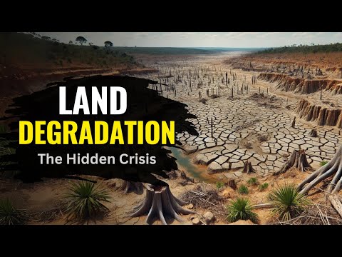 HOW DOES LAND DEGRADATION AFFECT THE ENVIRONMENT visual data 7