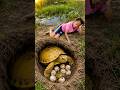 Survival Skills: SIMPLE and USEFUL with Turtle trapping tool #survival #animals #turtletrap