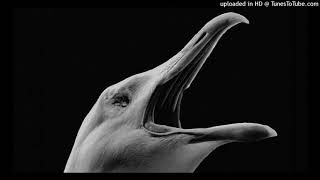 Mark Korven - Swab Dog Swab / Seagull / Winslow's Story (The Lighthouse Soundtrack)