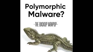 Celebrity How Polymorphic Malware Evades Detection — And What to Do About It Profile