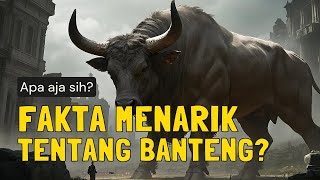 FAKTA TENTANG BANTENG YANG BANYAK ORANG GAK TAHU!