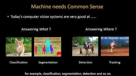 Visual Commonsense R-CNN