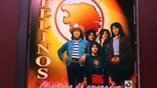 Los Felinos  -yo vendo unos ojos negros chords