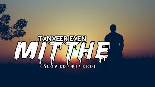 Mitthe (মিথ্যে) Tanveer Even,  Piran Khan | Lofi Music | Slowed+Reverb! TOUHID SHUVO Resimi