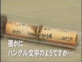 あぶタン。(韓国から流れ着いたメッセージボトル)