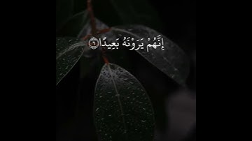 حالات واتس اب قرآن كريم | القارئ اسلام صبحي | فَاصْبِرْ صَبْرًا جَمِيلًا