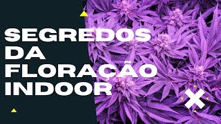 HOW TO GROW MARIJUANA INDOORS