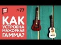 Как устроена мажорная гамма | Уроки Гитары