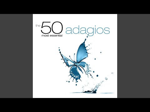 Symphony No. 4 in B-Flat Major, Op. 60: II. Adagio