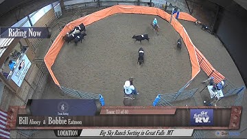 Big Sky Ranch Sorting Saddle Series #2 - #6 H/C - Round #1 - Ride #17