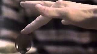 Siskel & Ebert Fair Game Home For The Holidays Powder 1995