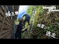 【古民家に住もう#266】顔を蜂に刺されました。
