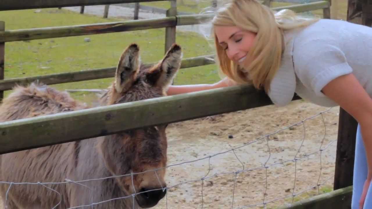 Best jobs in the world application video - Wildlife caretaker - YouTube