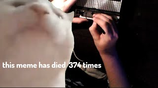 Camel By Camel Funny Cat Cover