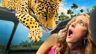 Nadia ATTACKED at Drive Thru Safari