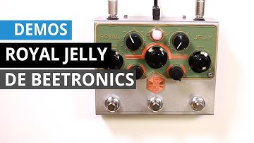 Demo de Beetronics Royal Jelly (No Talking)