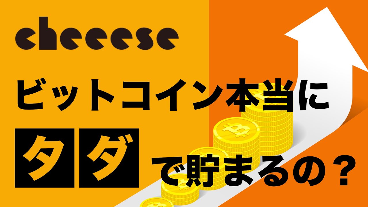 【アプリ検証】本当にタダでビットコインが貯まるの？【cheeese】