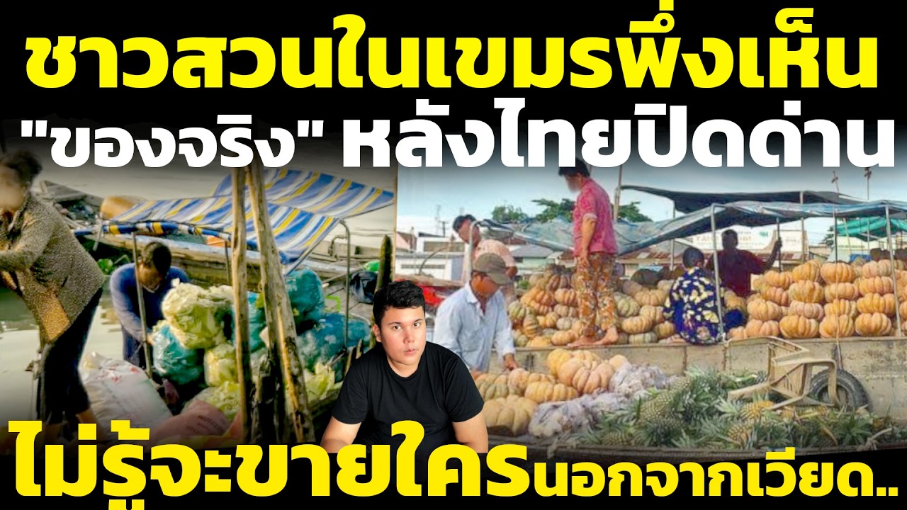 เขมร ชาวสวนผักผลไม้ หลังไทยปิดด่าน เบนหาเวียดนาม เจอของจริงหนักกว่า  วิเคราะห์ คอมเมนต์เขมร