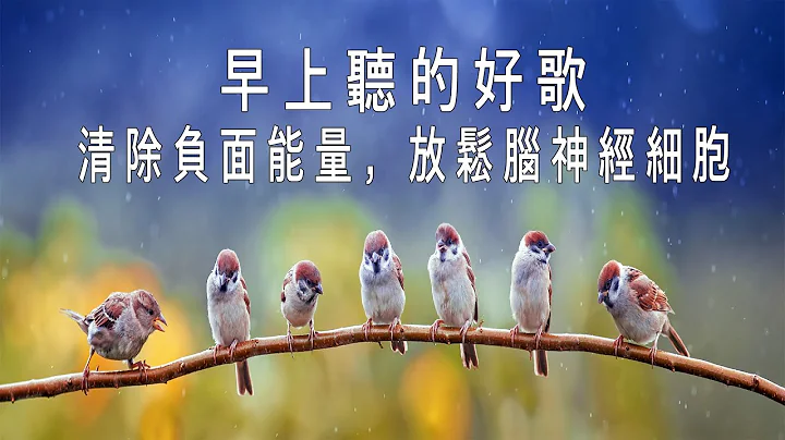 早上听的好歌 , 清除负面能量🎵3小时的沉静音乐，充满正能量的钢琴音乐_早晨的放松音乐，鸟的声音, 早上康复音乐, 音乐让您感到舒适 - 天天要闻